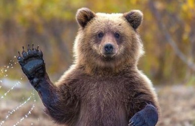 交际第一步 如何打招呼