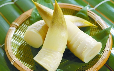 清明节饮食养生:竹笋等发物不宜多吃
