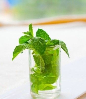 薄荷减肥7天瘦10斤不反弹