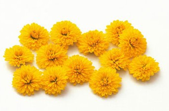 秋季养生宜润燥生津 秋季润燥多吃四种花