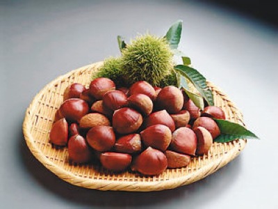 健康食谱：如何吃栗子加倍养生？