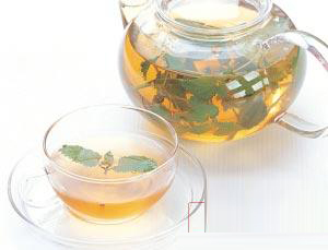春季养生不妨从喝花草茶开始