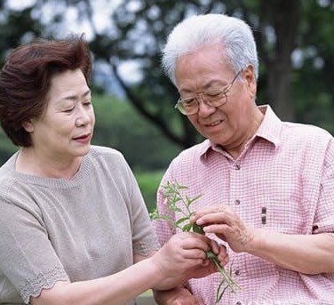 解密老人黄昏心理6大表现