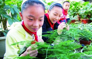 校园绿化多 孩子学习好