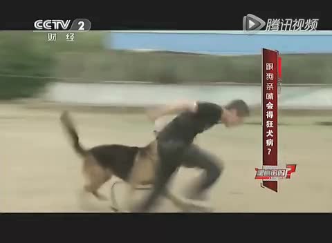 《是真的吗》：跟狗亲嘴会染上狂犬病？截图