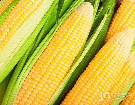 脾虚水肿！6种食物健脾养颜
