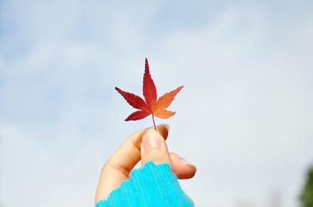 从善如登，从恶如崩
